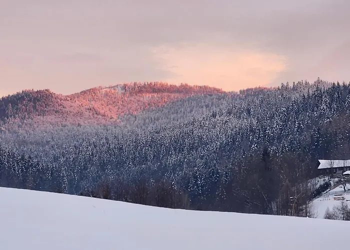 Widokówka Gospodarstwo agroturystyczne *
